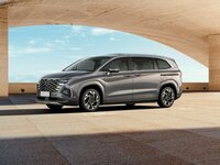 Hyundai Custin Vienatūris
