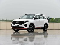 Kia Sportage (China) III (NP) Facelift Visureigis 5 d.