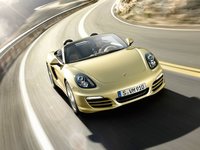 Porsche Boxster III (981) 3.4 AMT 315 AG 4