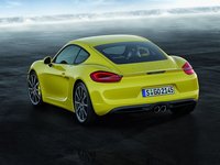 Porsche Cayman II (981) 2.7 AMT 275 AG 3