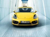 Porsche Cayman II (981) 2.7 AMT 275 AG 4