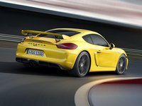 Porsche Cayman GT4 I (981) 3.8 MT 385 AG 3