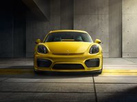Porsche Cayman GT4 I (981) 3.8 MT 385 AG 4