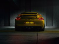 Porsche Cayman GT4 I (981) 3.8 MT 385 AG 6