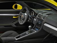 Porsche Cayman GT4 I (981) 3.8 MT 385 AG 8