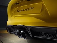Porsche Cayman GT4 I (981) 3.8 MT 385 AG 11