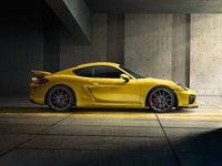 Porsche Cayman GT4 I (981) 3.8 MT 385 AG 13
