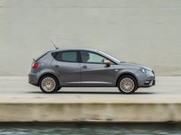 SEAT Ibiza IV Facelift 2 1.0 MT 110 AG 12