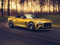 Bentley Mulliner Bacalar Kabrioletas